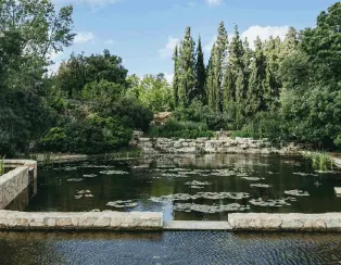 גן וואהל לוורדים בירושלים