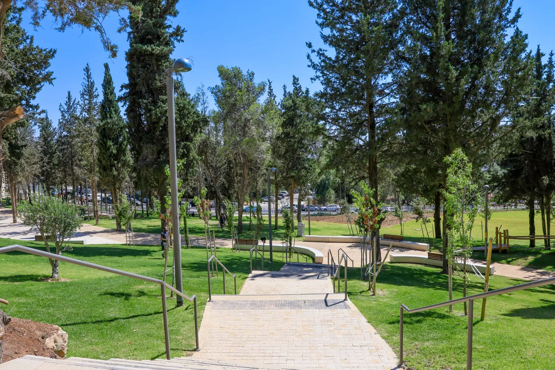 פארק רופין בירושלים - תמונה 2