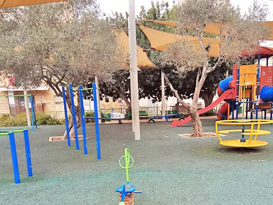 גן ירוק בירושלים - תמונה 2