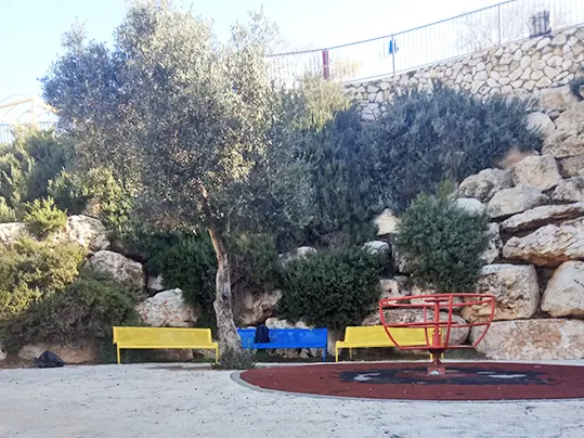 גן הדוד בירושלים - תמונה 4